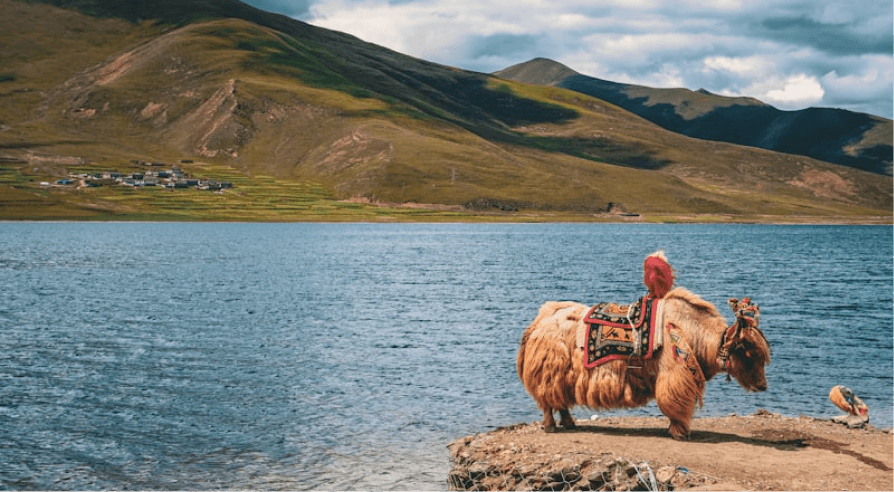 Kailash Mansarovar pilgrimage